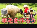 【目指せスティーブ】羊から羊毛ブロックをつくろう！【リアルクラフト】