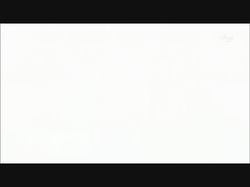Dan Dan Dan／コアラモード