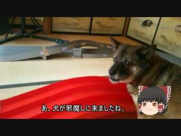 【ミニ四駆】ゆっくりミニ四駆始めました。3