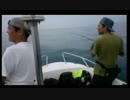 8.12じゃいあんさんナイトレイドさんいのさんで船釣り朝.mp4