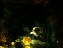 男子校♂でアッーった怖い話 フルボイス実況 Part42