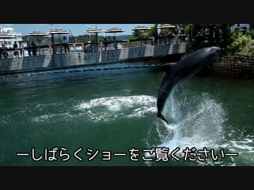 【新車納車】相棒とお別れしたので再婚してきた【番外編】