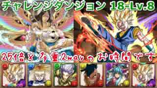 【無音】チャレンジダンジョン18-レベル8(バグあり)