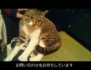2015夏里親募集ねぎま(仮)