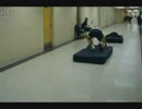 GIFを集めてみた