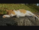 【心霊ちょっといい話part1】その45 警告