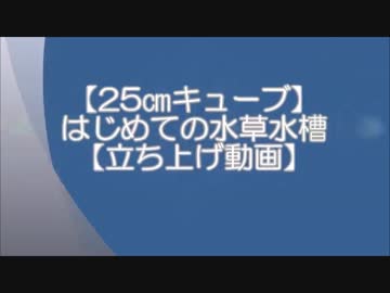 【25㎝キューブ】はじめての水草水槽【立ち上げ動画】Part1　
