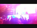 ［EDM］Zedd  Stay the night original live