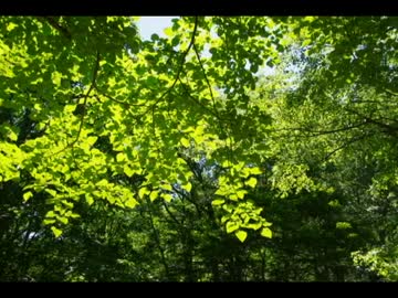 2010年ﾊﾞｲｸの旅 Part.52　【関東篇】