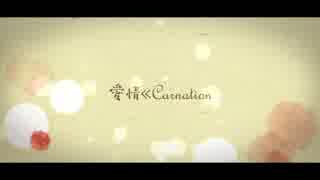 「愛情≪Carnation」　うたってみた　【のっぺver.】