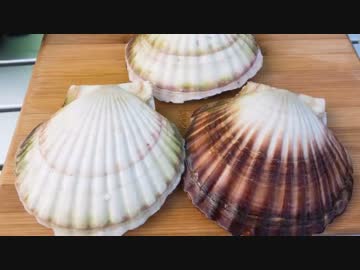 ウサチョフ、北海道へ行くっ！2015　第1回 『青森さ　いぐだっ！』