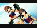 配布動画