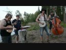 Steve'n'Seagulls - Nothing Else Matters