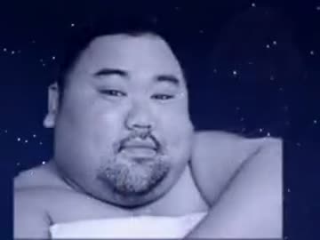 熊と狐」 「うさぎとくま」 - ニコニコ動画