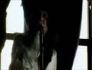 The Black Crowes - cypress tree