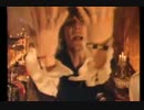 The Black Crowes - twice as hard
