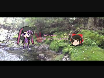 【阿多古川】ゆかりん達が引っ越してきたようです【#.4】