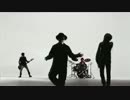 NICOTINE - BLACK FLYS