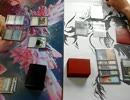 【MTG】73rd FPL_Death and Taxes vs UBR Delver_game1【レガシー】