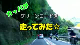 カッパが南河内グリーンロードを走ってみた