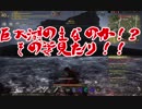 【ゆっくり実況】俺の嫁が主役になるまで【黒い砂漠】Part9
