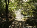 『Breathe In』ピアノ弾き語り【楽茶】