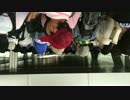 IMG_6289[1].MOV
