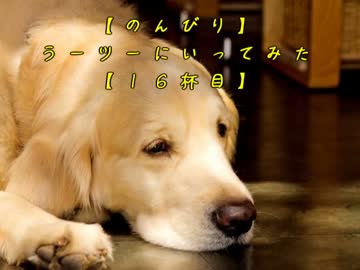 【のんびり】ラーツーにいってみた【１６杯目】