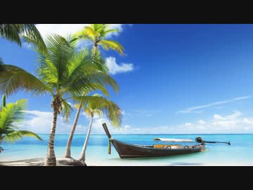 影虎。 / Go back to my summer【ドラムンベース】