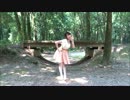 【錐梨】ハロ／ハワユ雰囲気で踊ってみた