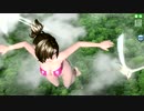 【PDA FT PV】ハト メイコ スイムウェアB