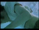 The Monkees - Porpoise Song (Head 1968)