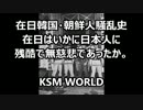 在日韓国・朝鮮人騒乱史 在日はいかに日本人に 残酷で無慈悲であったか