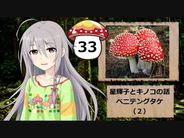 【モバマス】星輝子とキノコの話33　ベニテングタケ（２）