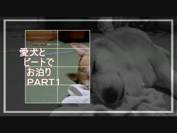 愛犬とビートでお泊り　ＰＡＲＴ１