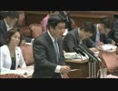 H27/8/19 参議院平和安保特別委員会・和田 政宗（次世代の党）