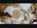 【心霊ちょっといい話part1】その48 巡り合わせ