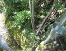 単管で水汲み場を作ってみた。