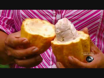 チョコレートができるまで