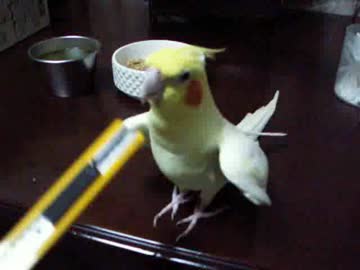 今でもカッターは好き