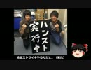 【ゆっくり保守】安倍政権抗議の為にカンパお願いします！←は？