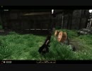 【Oblivion】Oblivion異世界記37【プレイ動画】