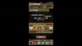 【パズドラ】シナモンパで幻の双子龍ワン＆ツー【１枚抜き】