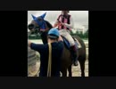 【転載】 2015年8月20日 園田競馬 6Ｒスマイルプロバイド