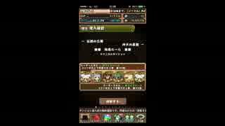【パズドラ】シナモンパで沖天の星龍デフォード【ノーコン】