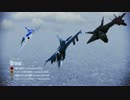 【ACEINF】対艦番長の協同戦役 操縦技量測定【F-2A】