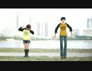 【こげ子】Bad Apple!!踊ってみた【ローさんと一緒】