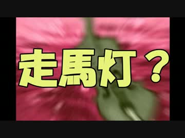 【実況】日刊　ぼくのなつやすみ　８月２１日