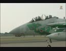 航空自衛隊 飛行教導群(アグレッサー部隊) 3/3
