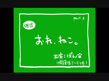 【保護後1年経過】おれ、ねこ。 第二弾【ぼんちゃん幼猫時～成猫前】